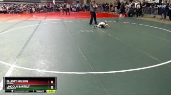 55 lbs 3rd Place Match - Elliott Nelson, Waseca vs Lincoln Bartelt, Westfield