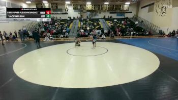 157 lbs Quarterfinal - Jace Nelson, Frisco Lone Star vs Christopher Fleites-Rodriguez, Mckinney North