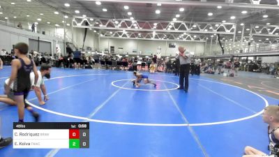 48 lbs Rr Rnd 1 - Colton Rodriquez, Brawler Elite Blue vs Emma Kolva, Team Nauman Wrestling Club