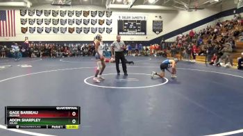 113 lbs Quarterfinal - Adom Sharpley, Solon vs Gage Barbeau, Midview