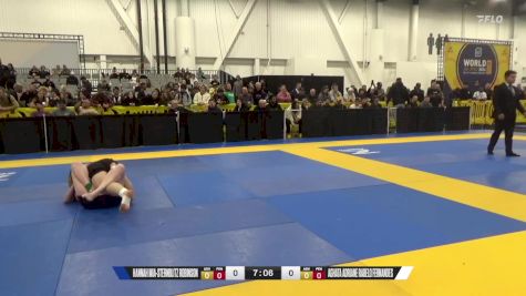 Aghata Adriane Rabelo Fernandes vs Hannah Mia-Sternblitz Robinson 2024 World IBJJF Jiu-Jitsu No-Gi Championship