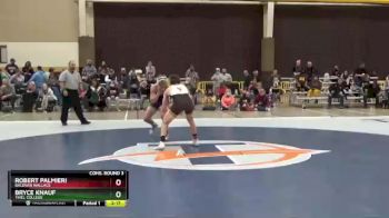 141 lbs Cons. Round 3 - Bryce Knauf, Thiel College vs Robert Palmieri, Baldwin Wallace