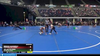 110 lbs Semifinal - Briggs Hammerly, Moen Wrestling Academy vs Rylan Kujawa, Becker Bulldogs