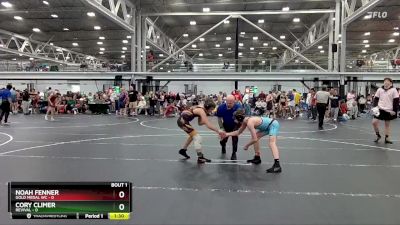 98 lbs Semis (4 Team) - Noah Fenner, Gold Medal WC vs Cory Climer, Revival