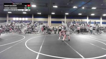 116 lbs Consi Of 32 #2 - Violet Gallegos, Valiant College Prep vs Audrey Marquez, Castro Valley WC