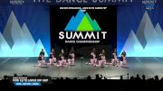Dance Dynamics - Mini Elite Large Hip Hop [2025 Mini - Hip Hop - Large Finals] 2025 The Dance Summit