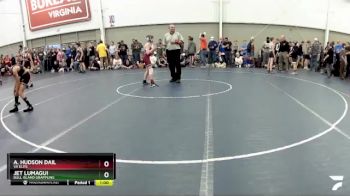 87 lbs Cons. Round 2 - A. Hudson Dail, VA Elite vs Jet Lumagui, Bull Island Grappling