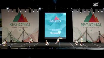 T.E.K. Cheer - Grapes [2026 L1 Tiny - Novice - Restrictions - D2 Day 1] 2026 The Southeast Regional Summit