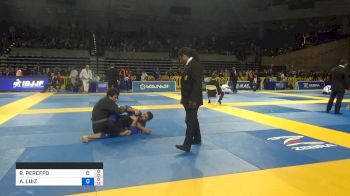 RICARDO PEREFFO vs ANDRE LUIZ NOVAES 2019 Pan Jiu-Jitsu IBJJF Championship