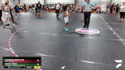 72 lbs Round 3 (6 Team) - Cameron Bartlow, Team Palmetto vs Mateo Pena, Reverence Wrestling Club