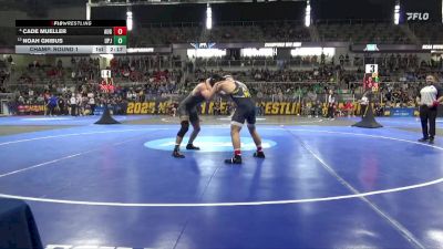 184 lbs Champ. Round 1 - Noah Gnibus, Pitt-Johnstown vs Cade Mueller, Augustana (SD)