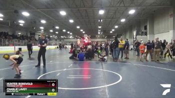 60 lbs Quarterfinal - Charlie Lavey, Brighton WC vs Hunter Borsvold, Traverse City WC