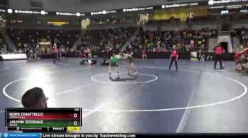 110 lbs Quarterfinal - Jalynn Goodale, Osage vs Hope Chiattello, Cedar Falls