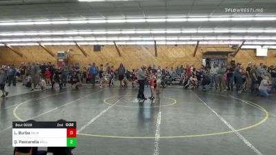 M 75 lbs Quarterfinal - Logan Burba, Palmyra vs Qwen Pascarella, Wellsboro