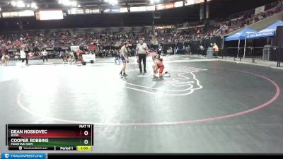 106 lbs Cons. Round 3 - Cooper Robbins, Mountain View vs Dean Hoskovec, Boise