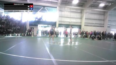 103 lbs Champ. Round 1 - Gabriela Hotaj, Rochester Christian vs Christianelle Rebarchek, Lindsey Wilson