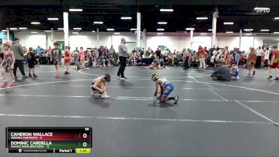 56 lbs Round 4 (8 Team) - Dominic Cardella, Savage Barn Brothers vs Cameron Wallace, Virginia Partriots