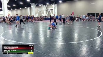 113 lbs Placement (16 Team) - Cristian Haslem, Team Michigan Blue vs Kayden Tchida, SD Blue