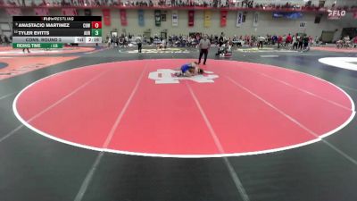 133 lbs Cons. Round 2 - Anastacio Martinez, Concordia Wisconsin vs Tyler Evitts, Aurora Universtiy