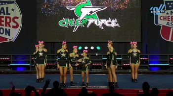 CheerForce - Stryker [2025 L4 Junior - Small Day 2] 2025 NCA All-Star National Championship