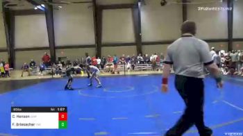 85 lbs Final - Cole Henson, Level Up vs Forrest Briesacher, The Wrestling Center