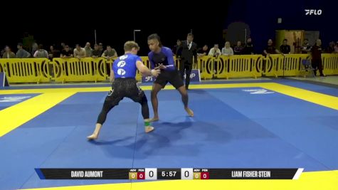 Liam Fisher Stein vs David Aumont 2025 Pan IBJJF Jiu-Jitsu No-Gi Championship