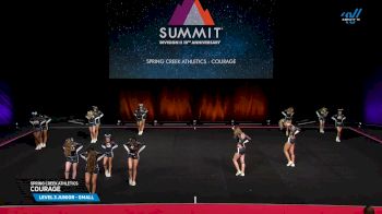 Spring Creek Athletics - Courage [2025 L3 Junior - Small Prelims] 2025 The D2 Summit