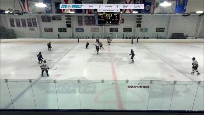 Replay: Home - 2024 Fighting Fish vs Comets | Apr 29 @ 9 PM
