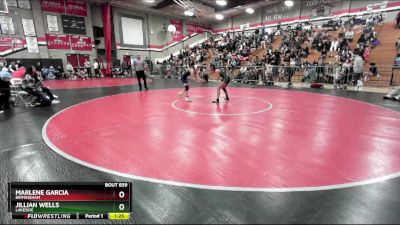 100 lbs Semifinal - Jillian Wells, Lakeside vs Marlene Garcia, Birmingham