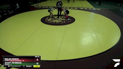 93 lbs Placement (4 Team) - Wyatt Peterson, Roseau vs Nolan Meisch, Dassel-Cokato-Litchfield