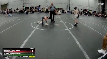 68 lbs Round 1 (4 Team) - Zayne Woodworth, Brawler Elite vs Dominic Antonelli, Thunderstruck