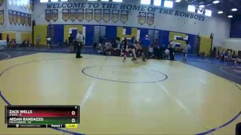 138 lbs Round 6 (8 Team) - Aedan Randazzo, Palm Harbor vs Zack Wells, A`Dale