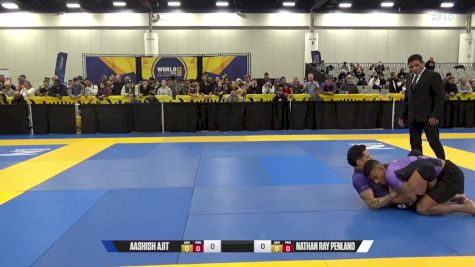 Nathan Ray Penland vs Aashish Ajit 2024 World IBJJF Jiu-Jitsu No-Gi Championship