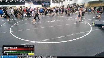 117 lbs Cons. Round 2 - Liam Crandall, WI vs Brody Gibbons, IA