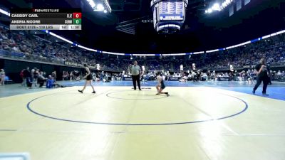 118 lbs Round Of 16 - Cassidy Carl, Elizabethtown vs Andria Moore, Curwensville