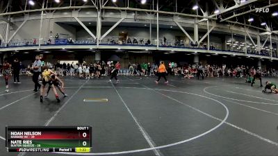 88 lbs Finals (2 Team) - Nate Ries, Buxton Squeeze vs Noah Nelson, Rangers WC