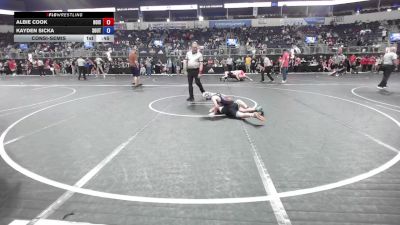 80 lbs Consolation - Albie Cook, Hoisington Jr Cardinals vs Kayden Sicka, Southern Illinois Bulldogs