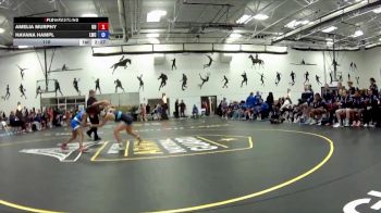 110 lbs Round 1 (16 Team) - Amelia Murphy, King University vs Havana Hampl, Lindsey Wilson College