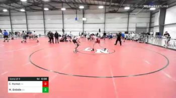 145 lbs Consolation - Cole Homet, PA vs Michael Bobola, MA