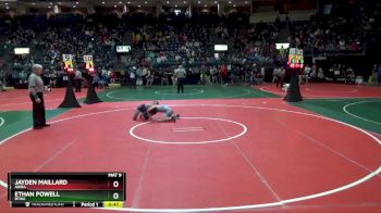 102 lbs Cons. Round 3 - Jayden Maillard, AWRA vs Ethan Powell, BTWA