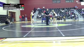138 lbs Cons. Semi - Gianna Dibenedetto, Emmanuel University vs Angelica Steffy, Mount Olive