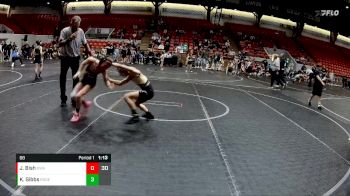 68 lbs Round 6 (8 Team) - Jackson Bish, DWA vs Kaden Gibbs, Rogue WC