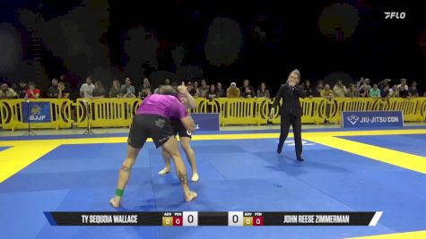 John Reese Zimmerman vs Ty Sequoia Wallace 2025 Pan IBJJF Jiu-Jitsu No-Gi Championship