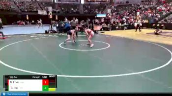 106 lbs Quarterfinal - Griffin Rial, Pine Creek vs Dorian Ervin, Eaglecrest