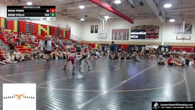 Youth-75 lbs Semifinals (8 Team) - Drew Stillo, Phillipsburg vs Noah Ferer, Mount Olive