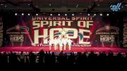 The Stingray Allstars - Sunflower [2025 L1 Youth - Small Day 2] 2025 Spirit of Hope Grand Nationals