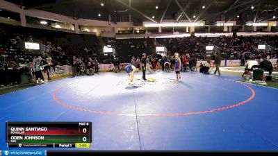 113 lbs Cons. Round 3 - Quinn Santiago, Puyallup vs Oden Johnson, Fife