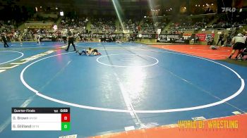 49 lbs Quarterfinal - Gunnar Brown, Waverly Shell Rock vs Gage Gililland, Dethrone