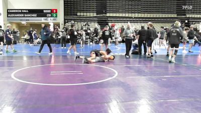 131 lbs Rr Rnd 4 - Cameron Hall, Warhawks Wrestling Inc. - MSE vs Alexander Sanchez, CTWHALE Humpback - MSE