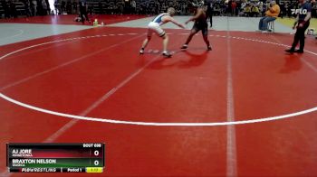160 lbs Cons. Round 2 - Braxton Nelson, Waseca vs Aj Jore, Minnetonka